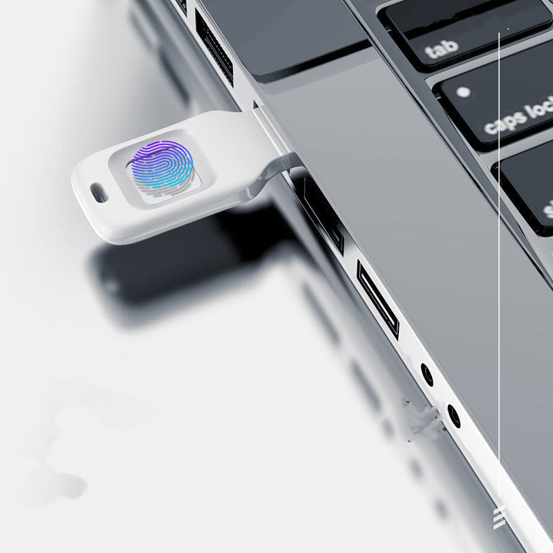 Fingerabdruckeingabe in verschlüsselte U-Disk