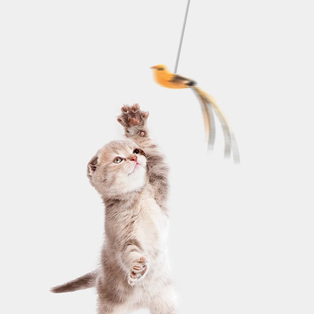 Katzenspielzeug mit automatischer Hebebewegung, künstlicher Vogel, interaktives Puzzle, Katzenspielzeug mit Federn zum Kauen und Heben, Katzenbedarf