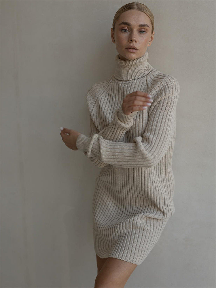 Long Sleeve Turtleneck Sweaters Dress