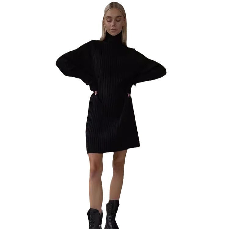 Long Sleeve Turtleneck Sweaters Dress