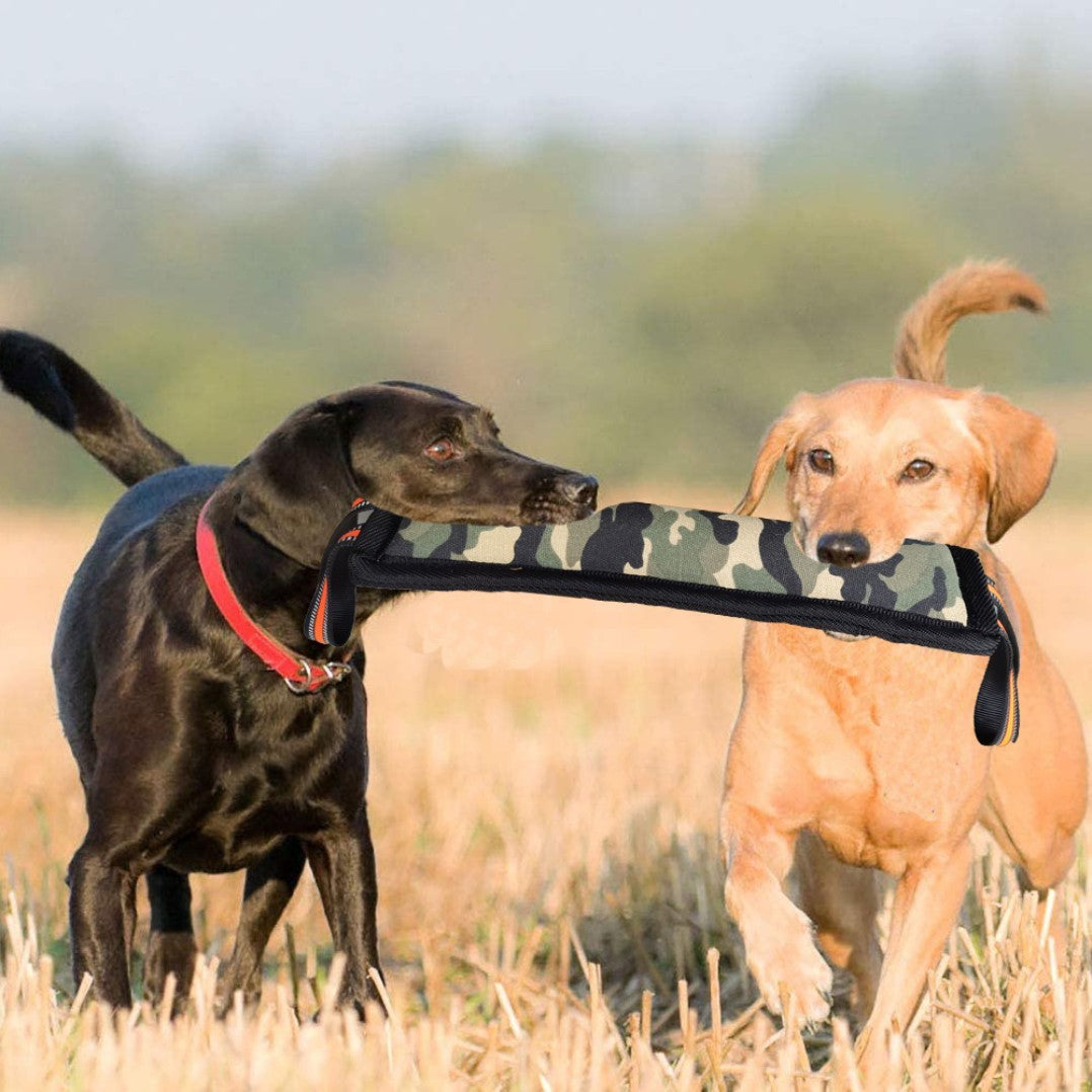 Molar Fine Hanf Beißstab Bissfester Hundetrainingsstab