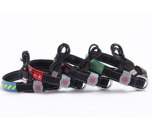 LED-Leuchthalsband Haustierhalsband