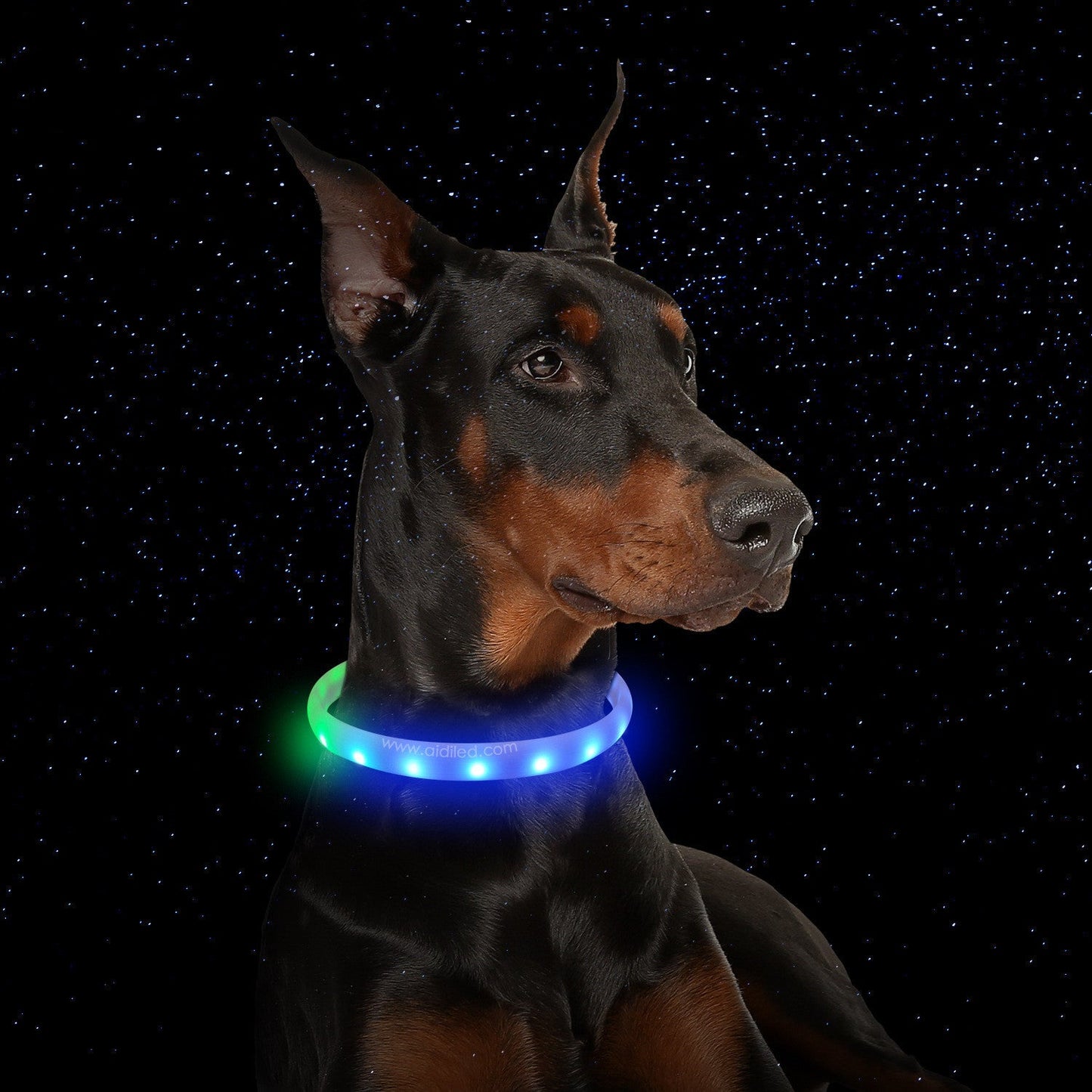 Flash-Halsband für Hunde USB-Aufladung Anti-Lost Silikon Halskette Haustierprodukte