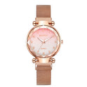 Mode Uhr Starry Sky Zifferblatt Uhr Klassische Damen Magnet Schnalle Quarzuhr Drop Shipping