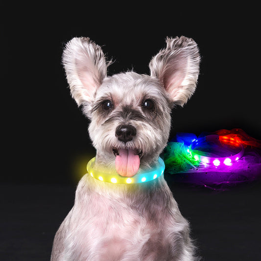 Flash-Halsband für Hunde USB-Aufladung Anti-Lost Silikon Halskette Haustierprodukte