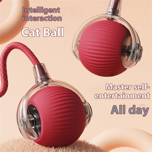 Elektrisches Katzenspielzeug Automatischer Katzenball Selbstunterhaltung Rolling Ball