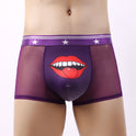Summer Men's Ice Silk Ultra-thin Breathable Mesh Quick-drying Panties