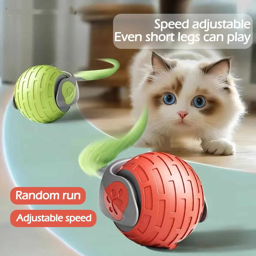 Neue interaktive Katzenspielzeugkugel, automatischer elektrischer Rollball, Spielzeug für Katzen und Kätzchen, intelligentes automatisches Teaser, wiederaufladbares Katzenspielzeug über USB, Haustierprodukte