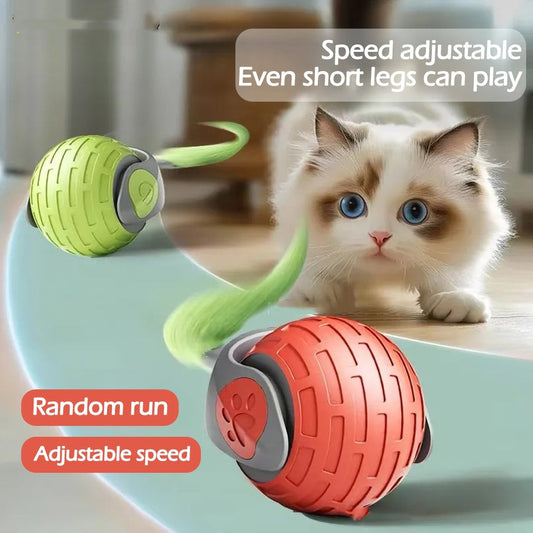 Neue interaktive Katzenspielzeugkugel, automatischer elektrischer Rollball, Spielzeug für Katzen und Kätzchen, intelligentes automatisches Teaser, wiederaufladbares Katzenspielzeug über USB, Haustierprodukte