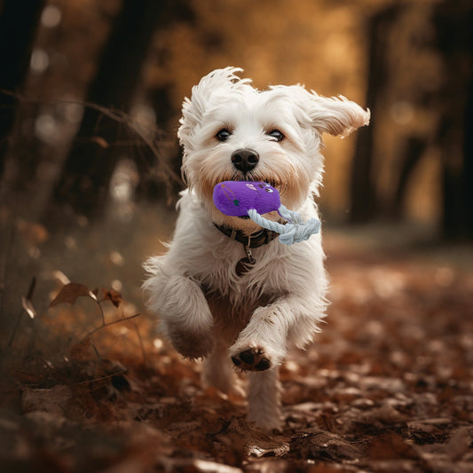 Teddy-Spielzeug mit Hundeknochenmodell, bissfestes Haustierzubehör, Spielzeug mit Maisvliesfutter zur Linderung von Langeweile 