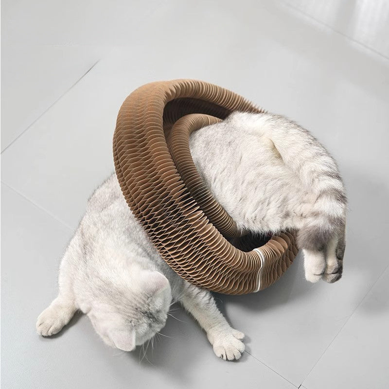 Katzenakkordeon Katzenspielzeug Kitty Kurlz Katzenspielzeug Ball Kratzball Zauberorgel Katzenkratzbrett Katzenkratzbrett