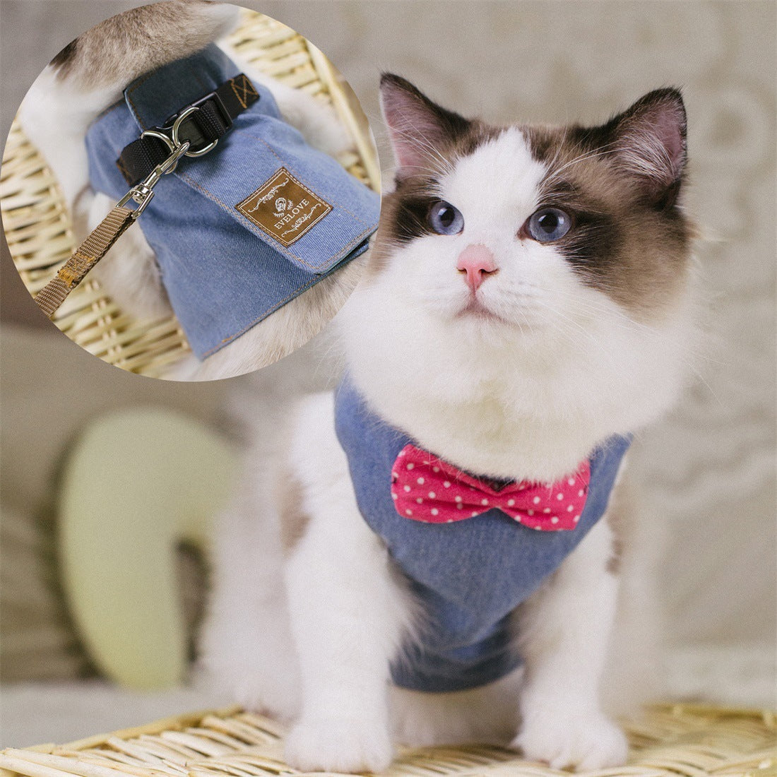 Brustgurt im Westenstil für Katzen