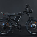 Ebike,750W Motor,48V15.6Ah Battery,20 Inches,Maximum Speed 45KM