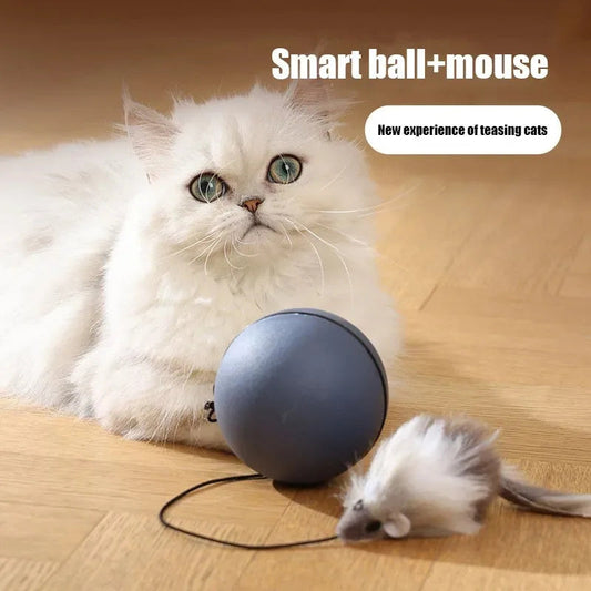 Katzenspielzeug Maus Teaser Ball Lustiges bewegliches Spielzeug für Haustiere Katze Hund Elektrischer Teaser Ball Automatischer intelligenter Rollball Haustierprodukte