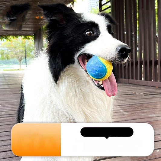Haustierspielzeug für Hunde, Molar, langlebiger, klingender Trainingsball