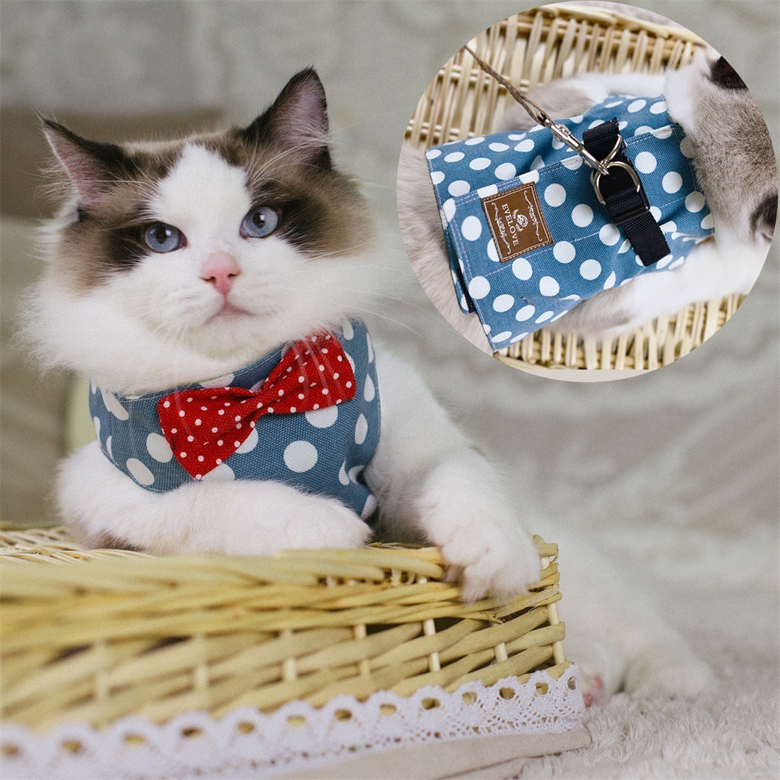 Brustgurt im Westenstil für Katzen