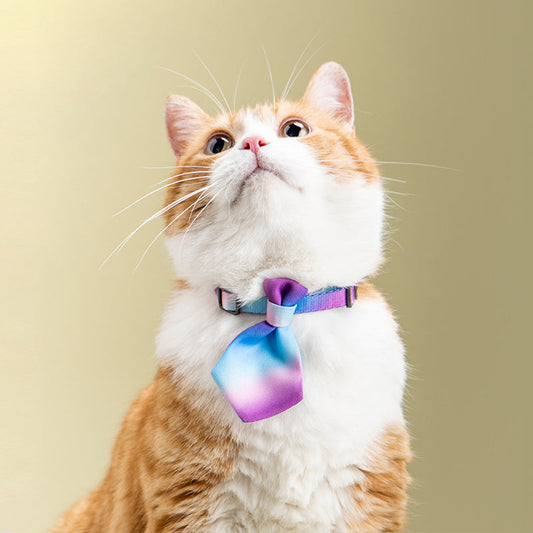 Halsband Hund Gentleman Krawatte Zubehör Einstellbare Haustier Produkte