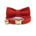 Hübsches Katzenhalsband aus Cord mit Katzenschleife