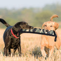Molar Fine Hanf Beißstab Bissfester Hundetrainingsstab