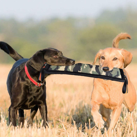Molar Fine Hanf Beißstab Bissfester Hundetrainingsstab