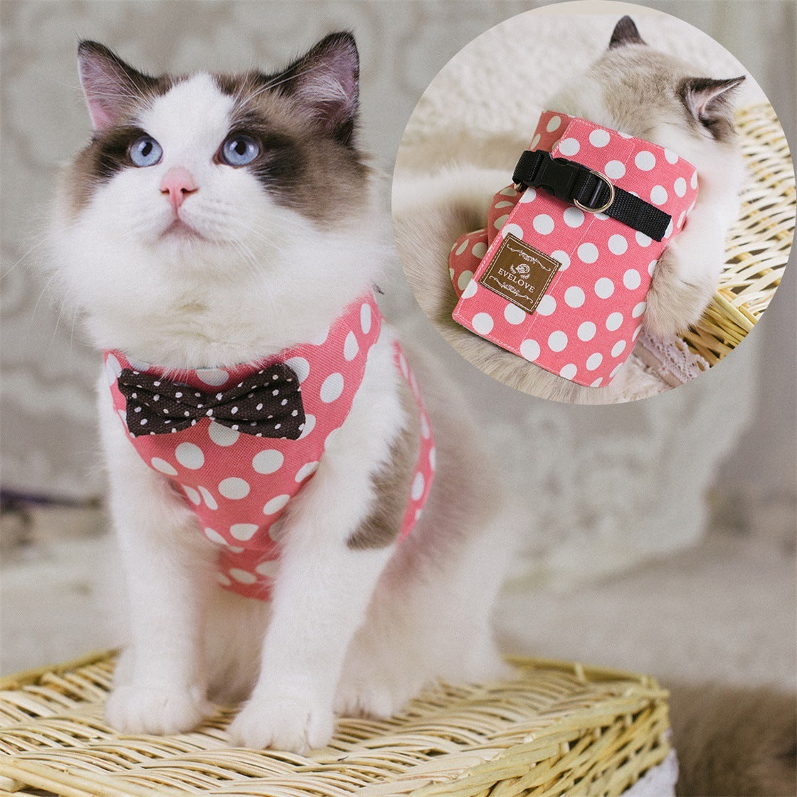 Brustgurt im Westenstil für Katzen