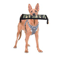 Molar Fine Hanf Beißstab Bissfester Hundetrainingsstab