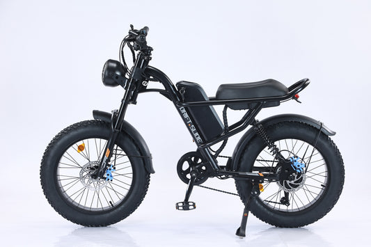 E-Bike, 750-W-Motor, 48-V-15,6-Ah-Akku, 20 Zoll, Höchstgeschwindigkeit 45 km