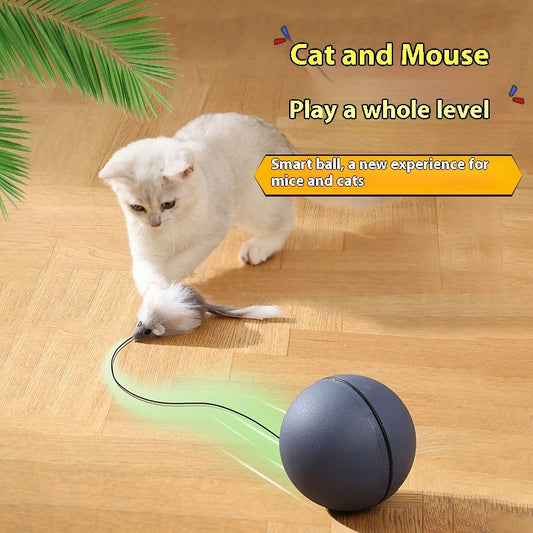 Katzenspielzeug Maus Teaser Ball Lustiges bewegliches Spielzeug für Haustiere Katze Hund Elektrischer Teaser Ball Automatischer intelligenter Rollball Haustierprodukte