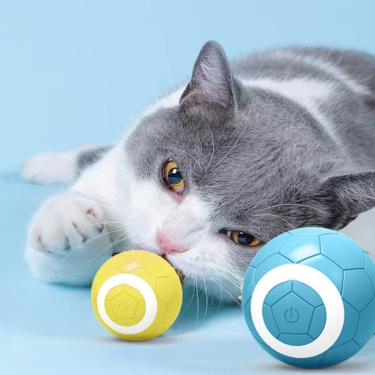 Gravity Lustiger elektrischer Katzenspielzeugball