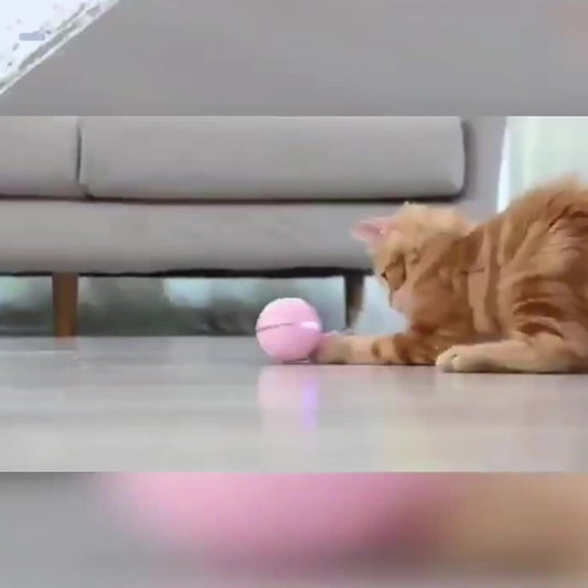 Elektrisches Katzenspielzeug, Spielzeugball, LED-Feder, necken Sie Katzenball, Katze selbst, hallo necken, Katzenstab, USB wiederaufladbar, necken Sie Katzenbedarf 