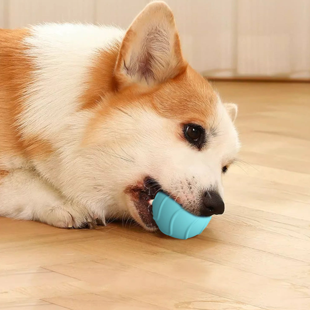 Automatischer Springball, elektrischer Katzenball, Spielzeug, 2 cm, lustiger, interaktiver Springball für das Training von Katzen, selbstbewegliches Kätzchenspielzeug für den Innenbereich
