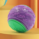 Haustierspielzeug für Hunde, Molar, langlebiger, klingender Trainingsball