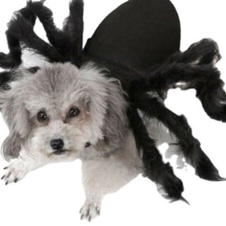 Haustier Spinne Horror Simulation Plüsch Dress Up